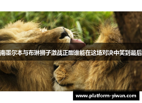 南墨尔本与布琳狮子激战正酣谁能在这场对决中笑到最后